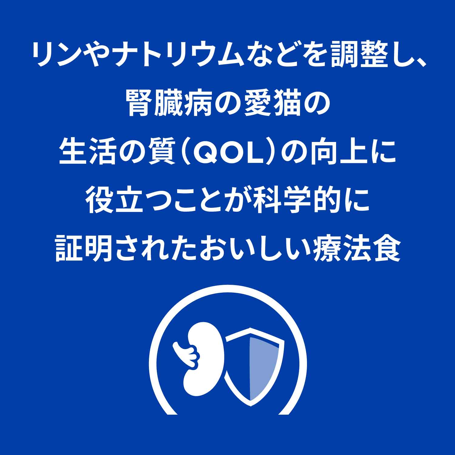 k/d ケイディー 缶詰 猫用〈腎臓ケア〉 チキン&野菜 特別療法食 82g 缶（ヒルズ プリスクリプション・ダイエット ）