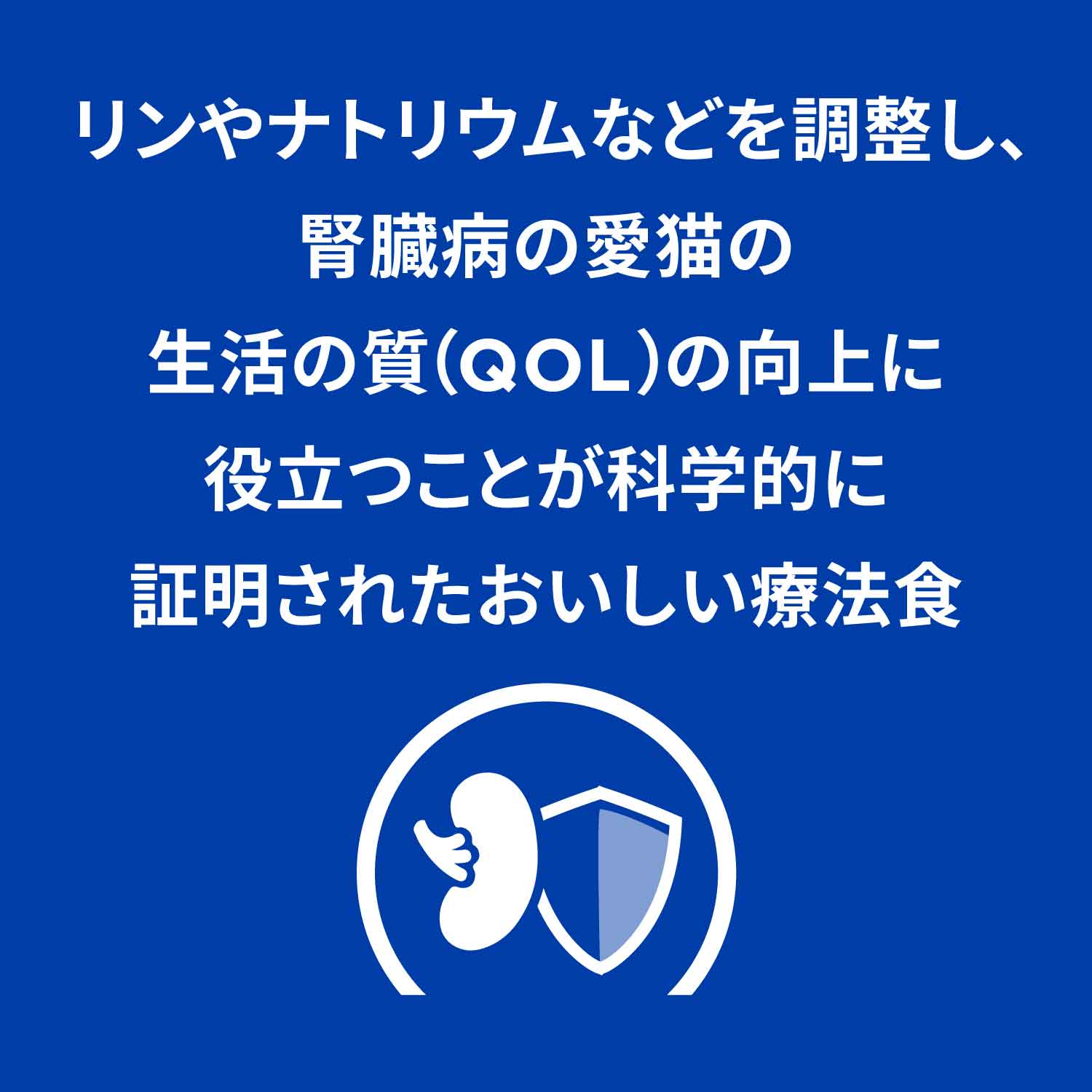 k/d ケイディー パウチ猫用〈腎臓ケア〉やわらかサーモン＆グレイビーソース 特別療法食 85gx12袋（ヒルズ プリスクリプション・ダイエット ）