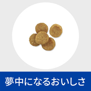 i/d アイディー 小粒 犬用〈消化ケア〉 チキン 特別療法食（ヒルズ プリスクリプション・ダイエット ）