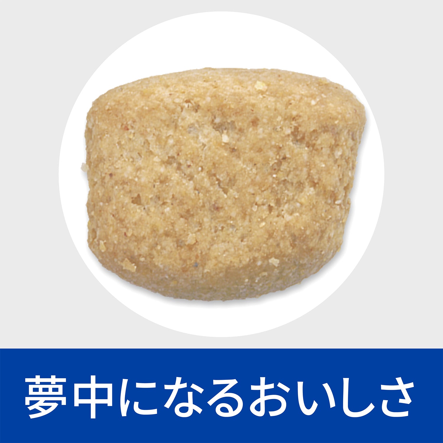 t/d ティーディー 大粒 犬用〈歯と歯ぐきのケア〉 チキン特別療法食 1kg（ヒルズ プリスクリプション・ダイエット ）