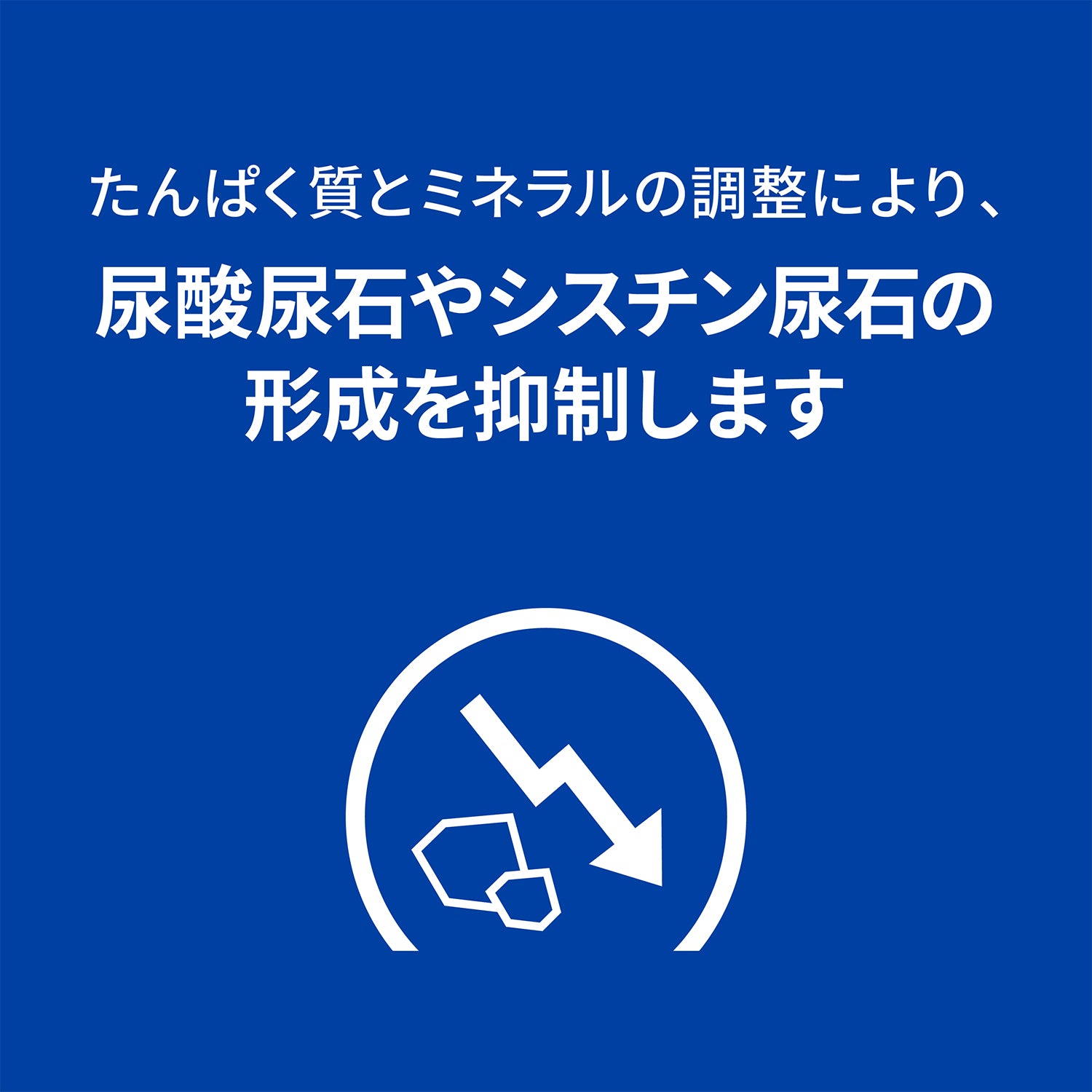 u/d ユーディー 犬用〈尿ケア〉チキン入り 特別療法食（ヒルズ プリスクリプション・ダイエット ）