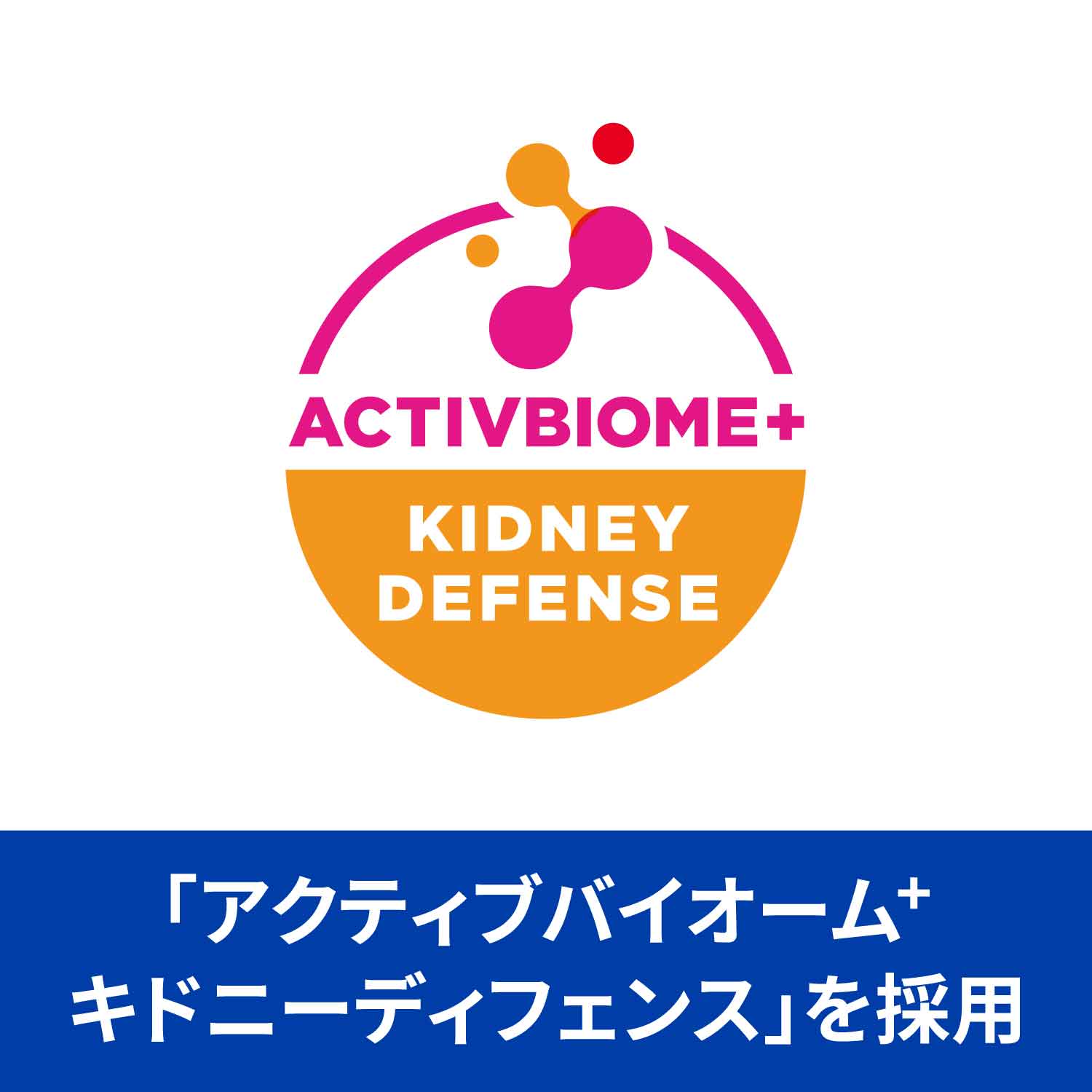 k/d ケイディー 早期アシスト 缶詰 猫用〈腎臓ケア〉 チキン&野菜 特別療法食 82g 缶（ヒルズ プリスクリプション・ダイエット ）