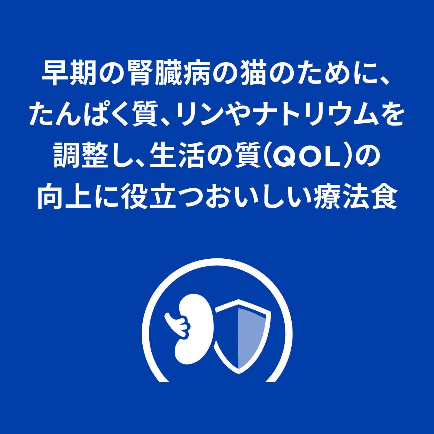 k/d ケイディー 早期アシスト 缶詰 猫用〈腎臓ケア〉 チキン&野菜 特別療法食 82g 缶（ヒルズ プリスクリプション・ダイエット ）