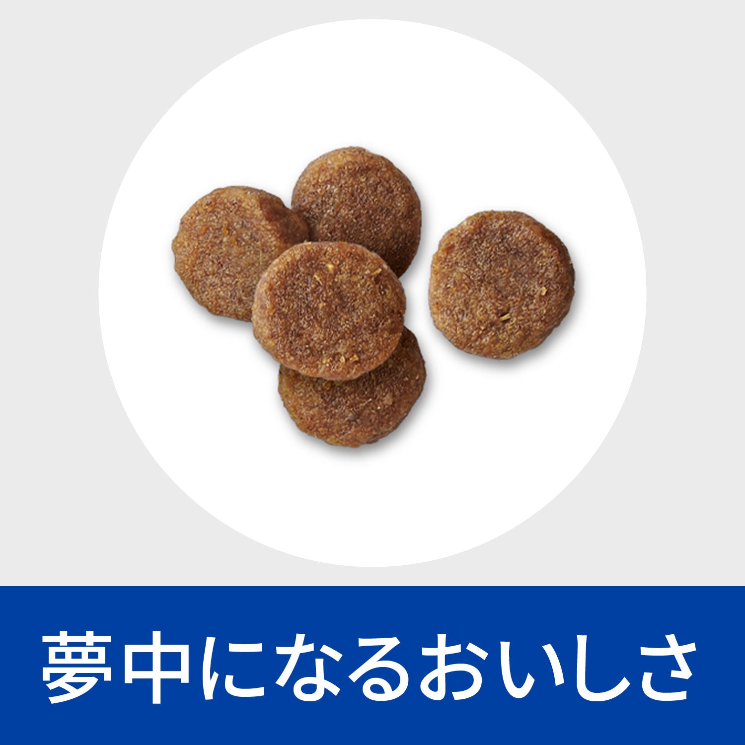 エナジーアシスト 犬用〈回復期ケア〉 チキン 特別療法食（ヒルズ プリスクリプション・ダイエット ）